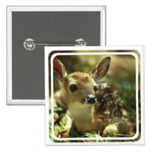 Fawn Square Pin