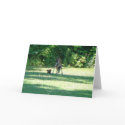 Fawn Squirrel Friends cards