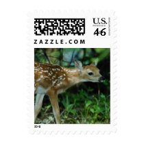 Fawn standing postage 761 stamps