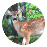 Fawn stickers