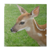 Fawn  Tile