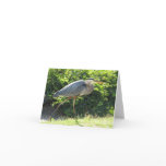 FB- blue heron notecards