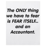 Fear Accountant Full Color Flyer