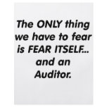 fear auditor flyers