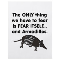Fear it Itself Armdillos flyers by Fear_Itself Fear it Itself Armdillos flyers