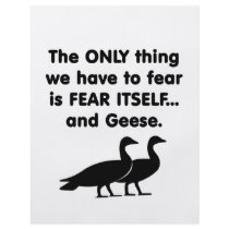 Fear Itself Geese Flyer Design