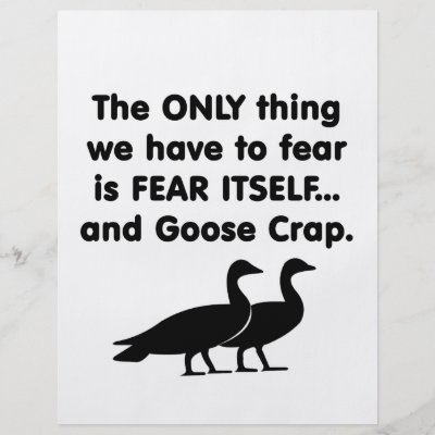 Goose Crap