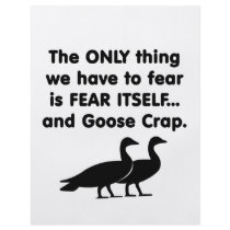 Fear Itself Goose Crap Flyer