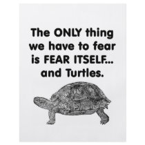 Fear Itself Turtles Flyer Design