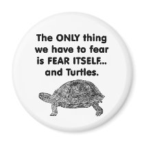 Fear Itself Turtles magnets