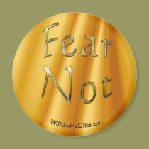 FEAR NOT Positive Attitude Magnet magnets