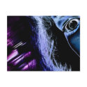 Fear postcards
