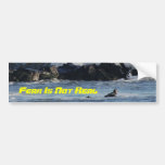 Fearless Surfer Bumper Sticker