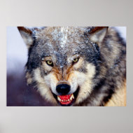 Fearsome Wolf Poster