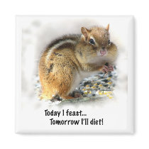 Feasting Chipmunk Refrigerator Magnets