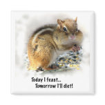 Feasting Chipmunk magnets