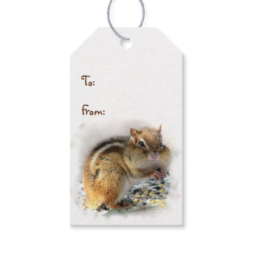 Feasting Chipmunk Pack of Gift Tags