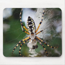 Feasting Zipper Spider Mouse Pad mousepads