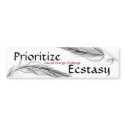 feather, bird feather 1, bird feather 1, Ecstas... bumper stickers by DanSir feather, bird feather 1, bird feather 1, Ecstas... bumper stickers