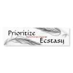 feather, bird feather 1, bird feather 1, Ecstas... Bumper Stickers