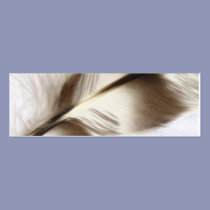 Feather bookmark business cards