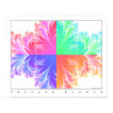 Feather Flower posters by sssowers Feather Flower posters