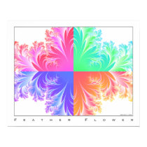 Feather Flower posters