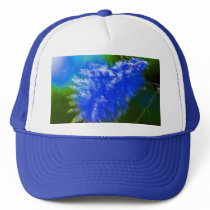 Feather Mesh Hat