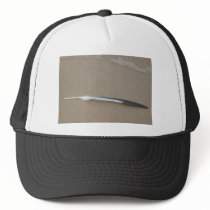 Feather hats by KatsEyes Feather hats