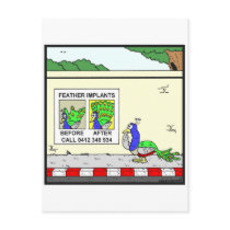 Feather Implants postcards