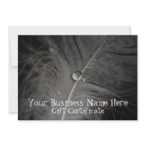 Feather in the Mud; Gift Certificate Invite