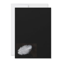 Feather Custom Announcements