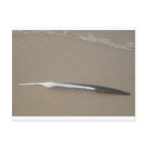 Feather postcards by KatsEyes Feather postcards