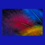 Feather Poster