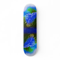 Feather Skateboard Decks