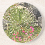 Feather-tipped Succulent flowers Coasters