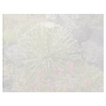 Feather-tipped Succulent flowers Custom Letterhead