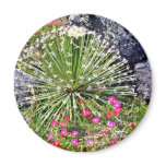 Feather-tipped Succulent Fridge Magnet