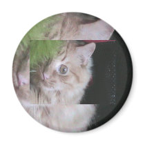 Feather Weight Fatty - Customized magnets