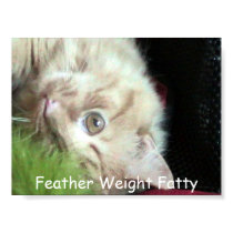 Feather Weight Fatty posters