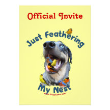 Feather Your Nest Bird Dog Announcements