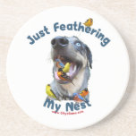 Feather Your Nest Bird Dog Drink Coasters