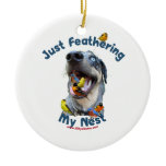 Feather Your Nest Bird Dog Christmas Tree Ornaments