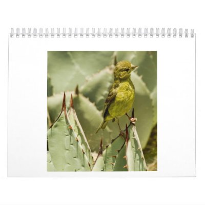 Feathered Beauty Calendars Feathered Beauty Calendars
