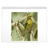 Feathered Beauty Calendars