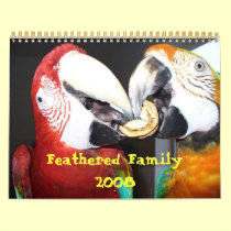 Feathered Family 2008 Calendar