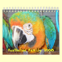 Feathered Family 2008 Calendar, Small