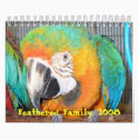 Feathered Family 2008 Calendar, Small