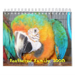 Feathered Family 2008 Calendar, Small