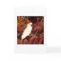 Feathered Family Cockatoo Note Card